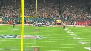 Super Bowl LI  James White Game Winning Touchdown [upl. by Llerol377]