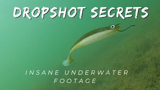 Dropshot Fishing insane underwater video [upl. by Flo]