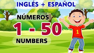 ⭐Números del 1 al 50 en Inglés y Español 🧠🙋‍♀️I Numbers 1 to 50 in English and Spanish I [upl. by Augustina]