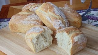 Introduction to Making NoKnead Bread in Batches For Restaurants Bake Sales Family Reunions [upl. by Greenlee]