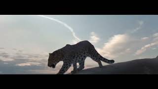 CGI Commercial THE ODYSSEY OF CARTIER [upl. by Nihahs]