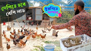 দেশি মুরগি খামার  এখন দেশিতে হবে বেশি লাভ  Desi Murgi Palan  কৃষি ঘর [upl. by Ttenaej]