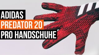 adidas Predator 20 Pro  Erfahrung  Meinung  Shop Link [upl. by Nicolai]