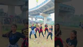 Tassa bit dance video viralvideo shortvideo danceclips reelsvideo [upl. by Letnohs]