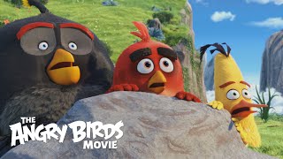 The Angry Birds Movie Anger Management FAMILY MOVIE HD CLIP [upl. by Cristie]