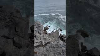 Vestmannaeyjar iceland travel cliff ocean [upl. by Anrehs]