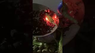 Traditional Way Of Making Roasted Corn In Bangladesh 🇧🇩 shortvideo music subscribe viralvideo [upl. by Benoite504]