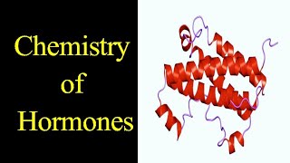 Chemistry of hormones I Steroid I Amine I Peptide I Protein I CatecholaminesI NEET I NET I SET I [upl. by Ahsropal673]