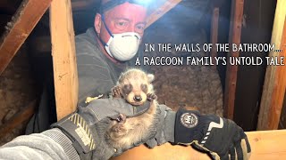 In the Walls of the Bathroom A Raccoon Familys Untold Tale [upl. by Emiaj]