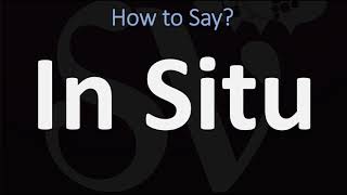 How to Pronounce In Situ CORRECTLY [upl. by Ardnac722]