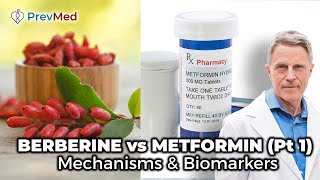 BERBERINE vs METFORMIN Pt 1  Mechanisms amp Biomarkers [upl. by Mungam]