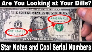 Currency Hunt  Looking for Rare Bills Star Notes and Cool Serial Numbers [upl. by Coppola]