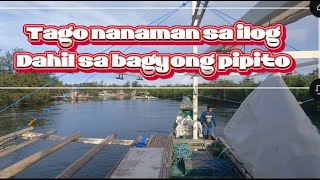 Balik sa ilog Bagyong pipito aabot dito samin ng 100 kph ang hangin [upl. by Fanechka450]