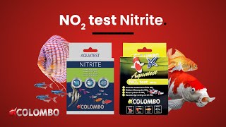 Colombo Pond Nitrite NO2 Test [upl. by Ogilvy]