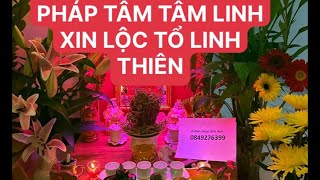 PHÁP TÂM TÂM LINH 812024 Ngày  Tân Mùi những con giáp nào xoá nợ [upl. by Welker25]