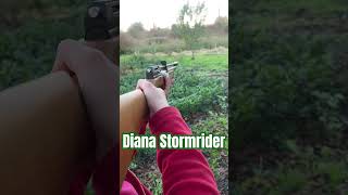 Diana Stormrider Diana airgun’s [upl. by Gare]