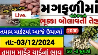 magfali na bhav  03122024  મગફળી ના ભાવ2024  Information about cotton crop price  Commodity [upl. by Quartet]