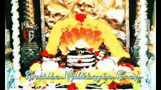 Srisailam Mallikarjuna Swamy 🙏❤️ [upl. by Leopoldeen]