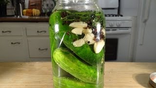 Homemade Dill Pickles Lactofermented [upl. by Laehcimaj559]