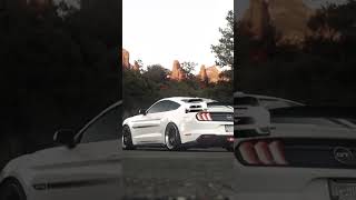 quotPure Power Ford Mustang GT Roars to Lifequot FordMustang MustangGT MuscleCar AmericanMuscle [upl. by Faydra]