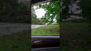 Hurricane Helene Did This 😱 shorts vlog vlogsshort vlogging [upl. by Colson]