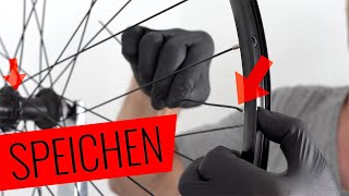 Fahrrad SPEICHEN WECHSELN Komplette Anleitung  Fahrradorg [upl. by Gibbie]