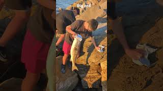 fun Redfishfishingfishing [upl. by Isiad]