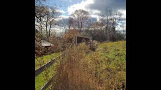 Fall in New Hampshire briefly [upl. by Rhoda959]