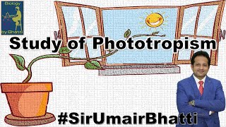 Study of Phototropism by Heliotropic Chamber  Study of Heliotropism  SirUmairBhatti [upl. by Melodee]