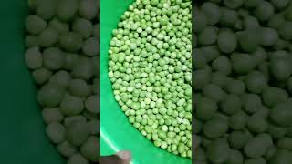 PeelingShelling Green Peas for Cooking [upl. by Beasley]