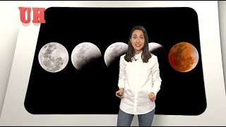 Calendario lunar cuándo es mejor cortarse el pelo [upl. by Shaffert]