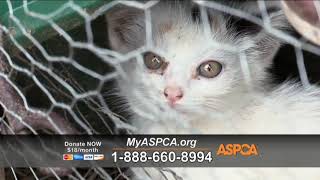 ASPCA Commercial Extremely Sad [upl. by Ariay]