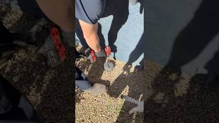 Mastering the Sewer Clean Out – The Ultimate Tool in Action 🛠️ ytshorts fyp shorts viralshorts [upl. by Aierdna]