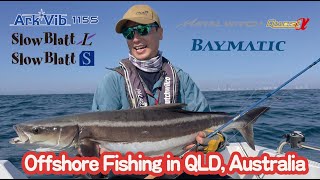 PALMS MOVIE  Offshore Fishing in QLD Australia [upl. by Romeon471]