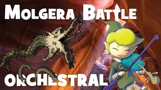 Molgera Battle  The Wind Waker Orchestral Remix [upl. by Htebazileharas]