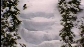 Vivid  Snowboard DVD teaser 2002  2003 [upl. by Anair]