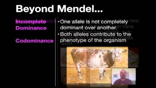 Beyond Mendelian Genetics [upl. by Atnoled]