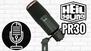 Heil PR30  End Address Dynamic Microphone  Test  Review  Is Any Heil Mic Worth The Money [upl. by Diena]