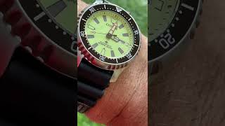 Citizen Promaster FUGU full lume NYO11919x Limited Edition 2000pcs [upl. by Warden]