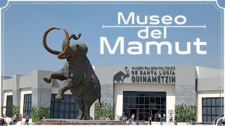 Museo Paleontológico de Santa Lucia 🐘 Así es el MUSEO DEL MAMUT [upl. by Ettesel320]