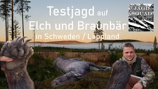 Elch und Braunbär zur TESTJAGD in Schweden  Lappland [upl. by Floeter]