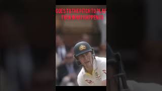 Power of Labuschagne msdcricket [upl. by Omik]