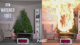 How to prevent Christmas tree fires [upl. by Orola285]