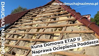 Kuna Domowa  Naprawa ocieplenia poddasza wełną celulozową ETAP II dmuchajnazimno3191 [upl. by Tidwell]