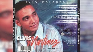 Elvis Martinez  Maestra Audio Oficial álbum Musical Tres Palabras  2002 [upl. by Burford898]