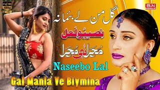 Gal Manla Ve Biymina  New Mujra Song  Naseebo Lal  Hoka Chal Da Rhan Dey  Dance Song [upl. by Albina295]