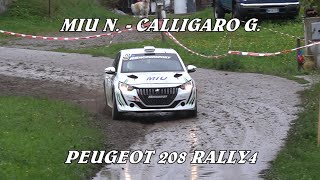 RALLY DELLA CARNIA 2024  MIU N  CALLIGARO G  PEUGEOT 208 RALLY4  VIDEOCLIP BY BELLUNOVIDEO [upl. by Ahsilac]