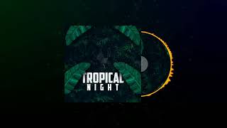 Dannf Vorier  Tropical Night [upl. by Leeban]