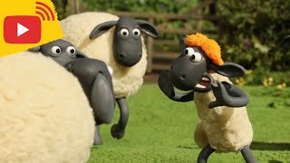 🔴 LIVE  Shaun the Sheep  Farm TV  Shaun The Sheep 🐑 Cartoons for kids Preschool New Stream [upl. by Elbon]