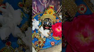 Jai Radha Madhava Jai Kunj Bihari  HG Shri Gopal Krishn Goswami ji 🙏harekrishna shorts [upl. by Ahsinac187]